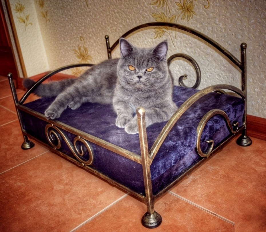 Кроватка для кошки
