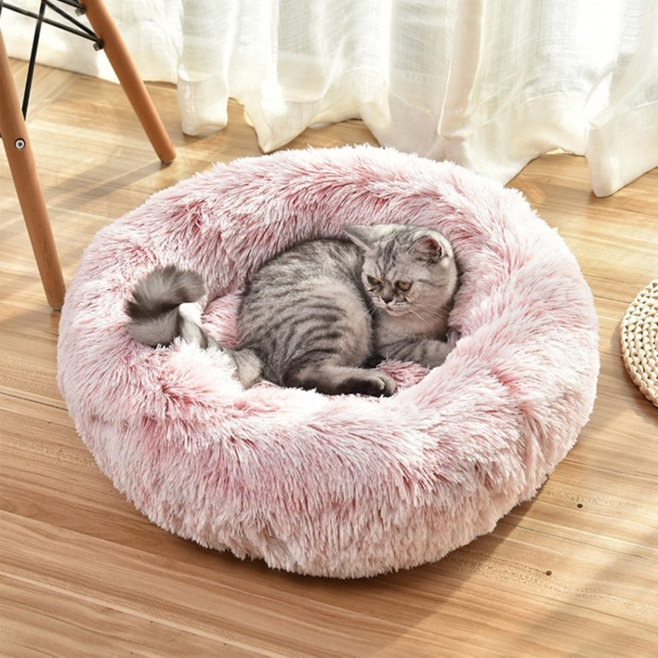 Необычные лежаки для кошек