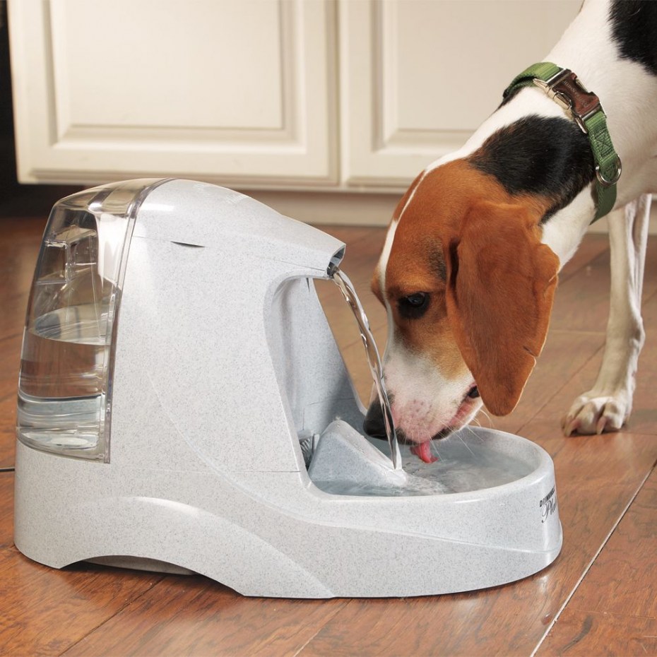 Поилка фонтан Pioneer Pet "Raindrop" из нержавеющей стали