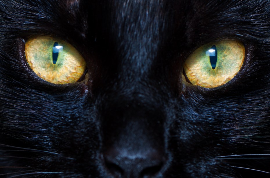Кошачий глаз