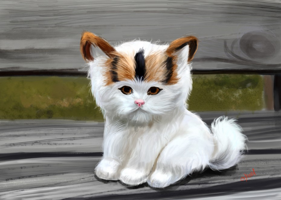 Кошки бывают разные
