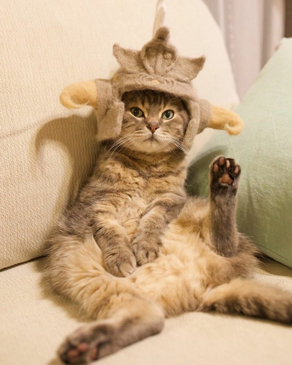 Рябой кот