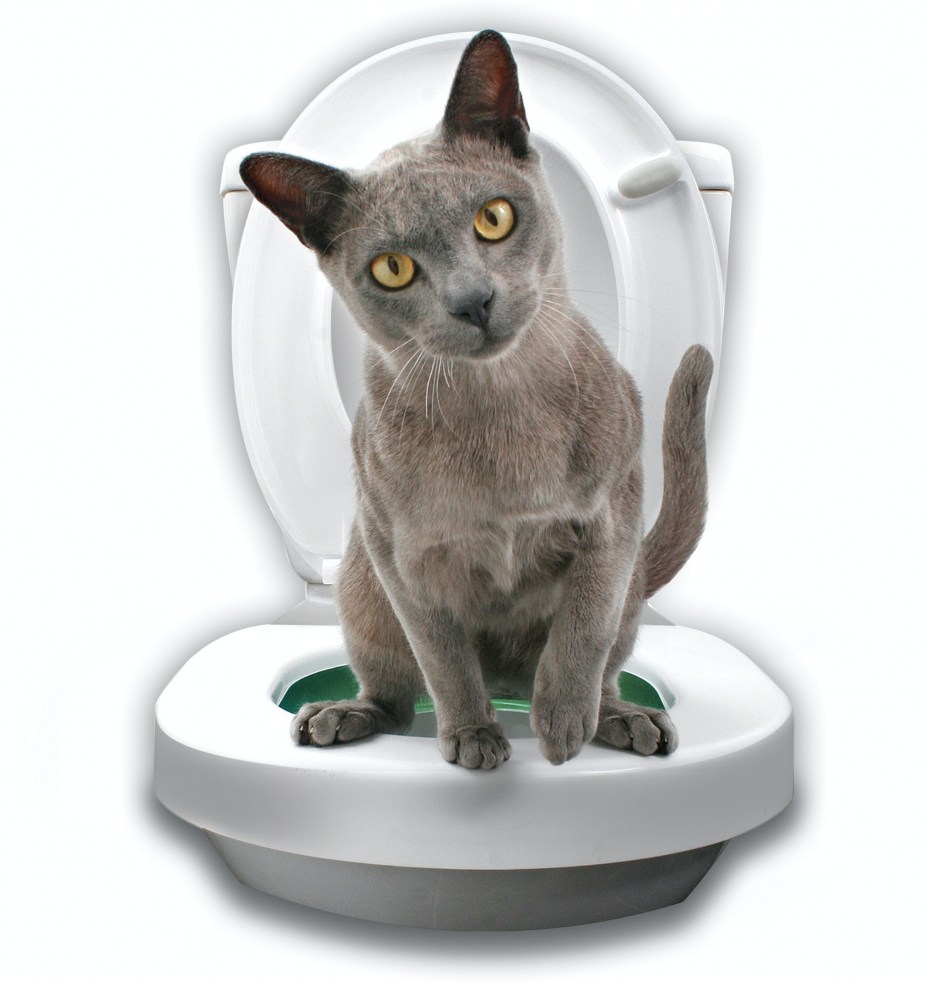 Система приучения кошек к унитазу citi Kitty Cat Toilet Training Kit