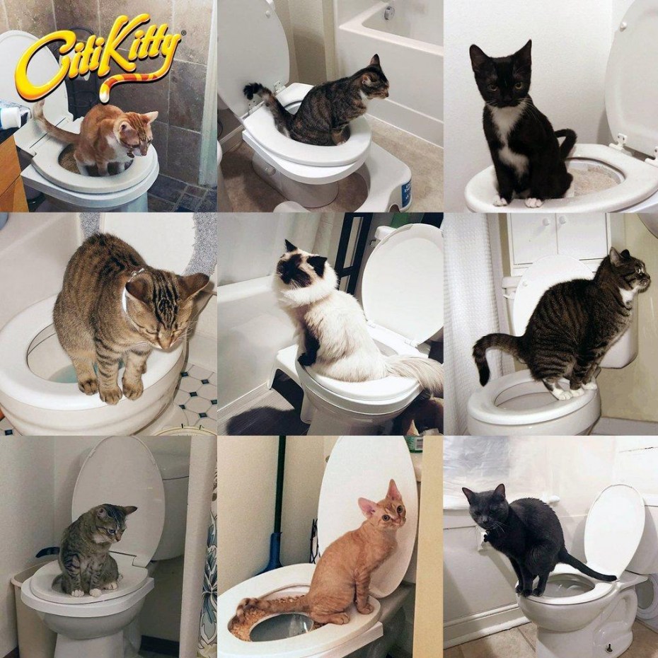 Унитаз для кошек Citikitty
