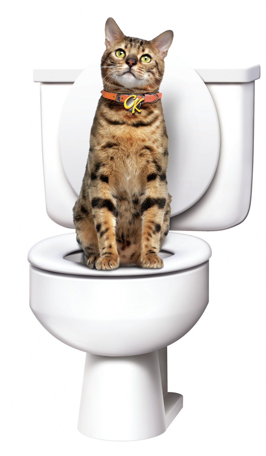 Система приучения к туалету для кошек Citikitty Cat Toilet Training Kit