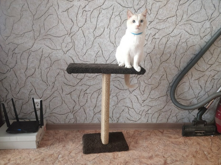 Когтеточка из пряжи