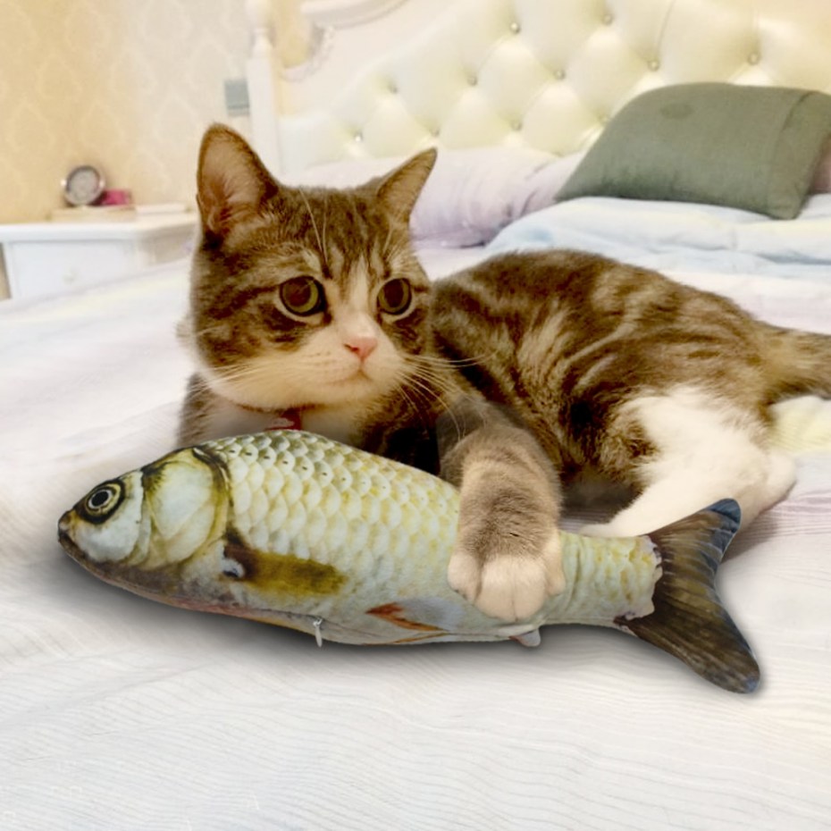 Рыбка для кошки