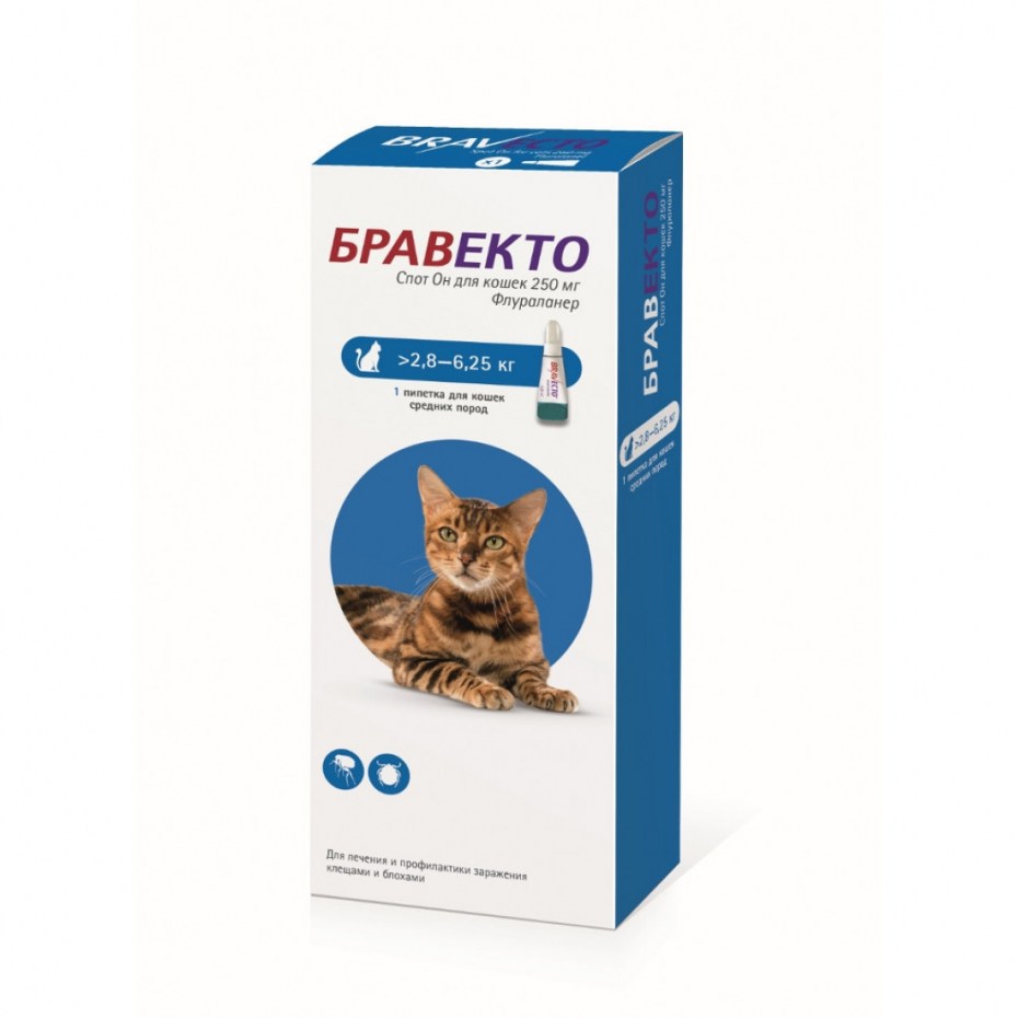 Бравекто (MSD animal Health) капли от блох и клещей спот он для кошек 2,8-6,25 кг