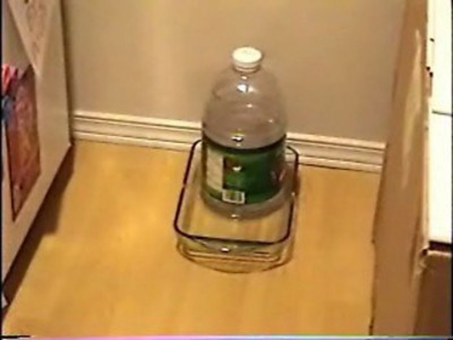 Кашпо кошка – поделка из пластиковой бутылки