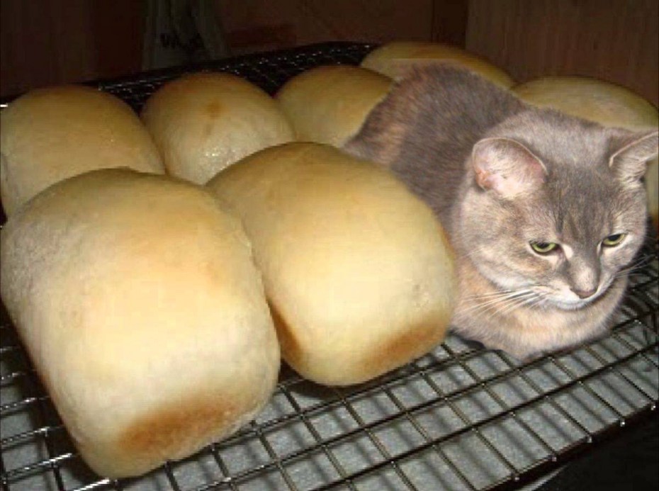Я хлеб не ешь меня