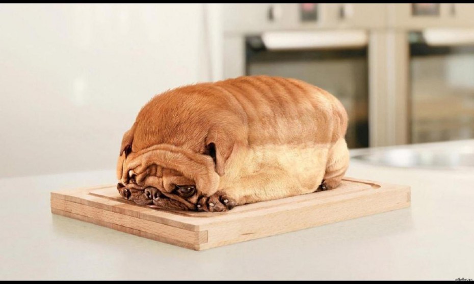 Жрет кошачий корм