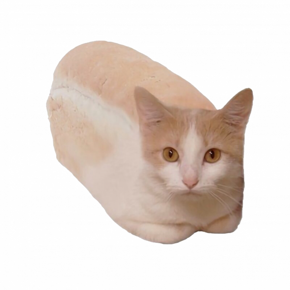 Кот Хлебушек