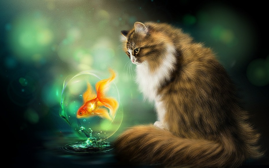 Фантастический кот