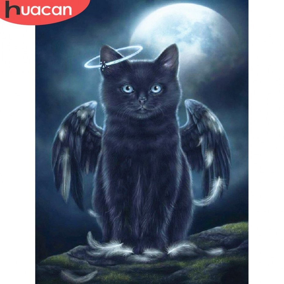 Магический кот
