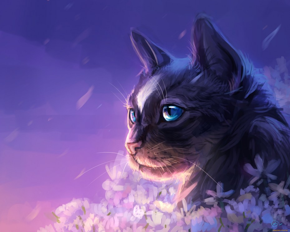 Фэнтези кошки