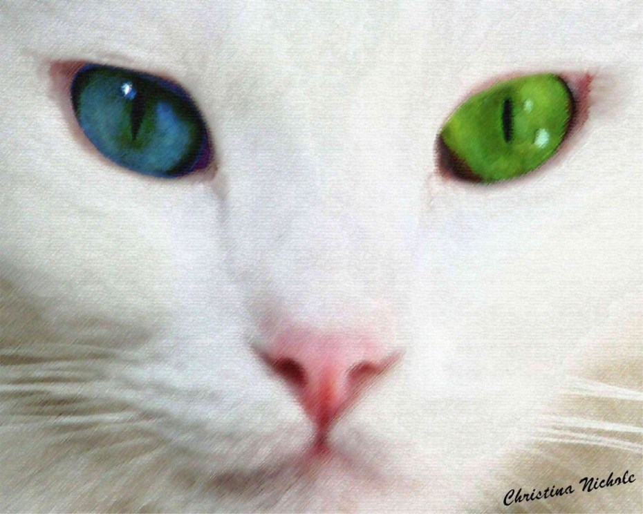 Кот белый с голубыми зелёными глазами