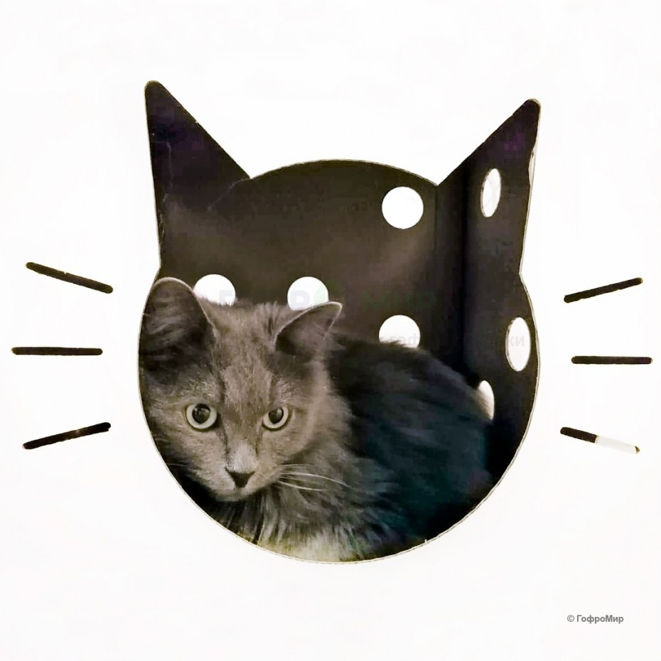 Домик для кошки Polly 4
