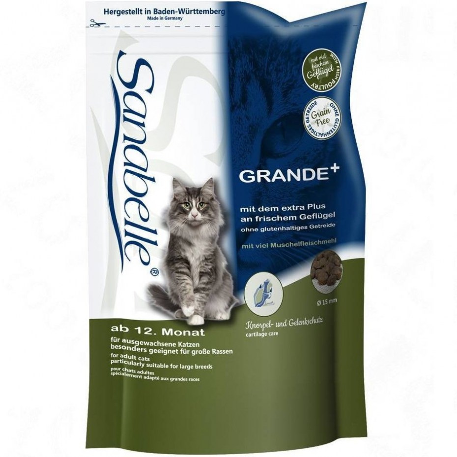 Royal Canin Kitten Maine Coon