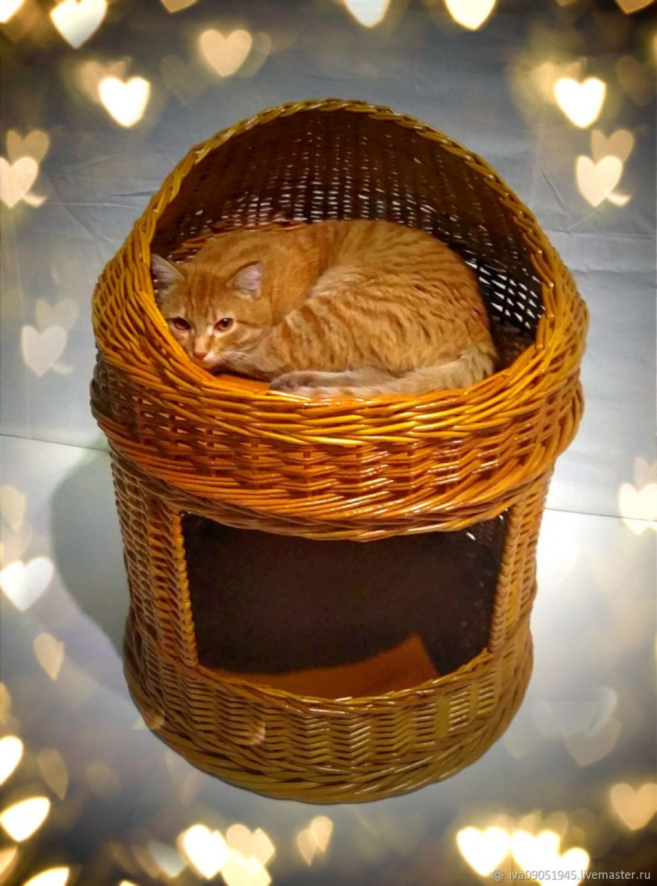 Плетеный дом для кота