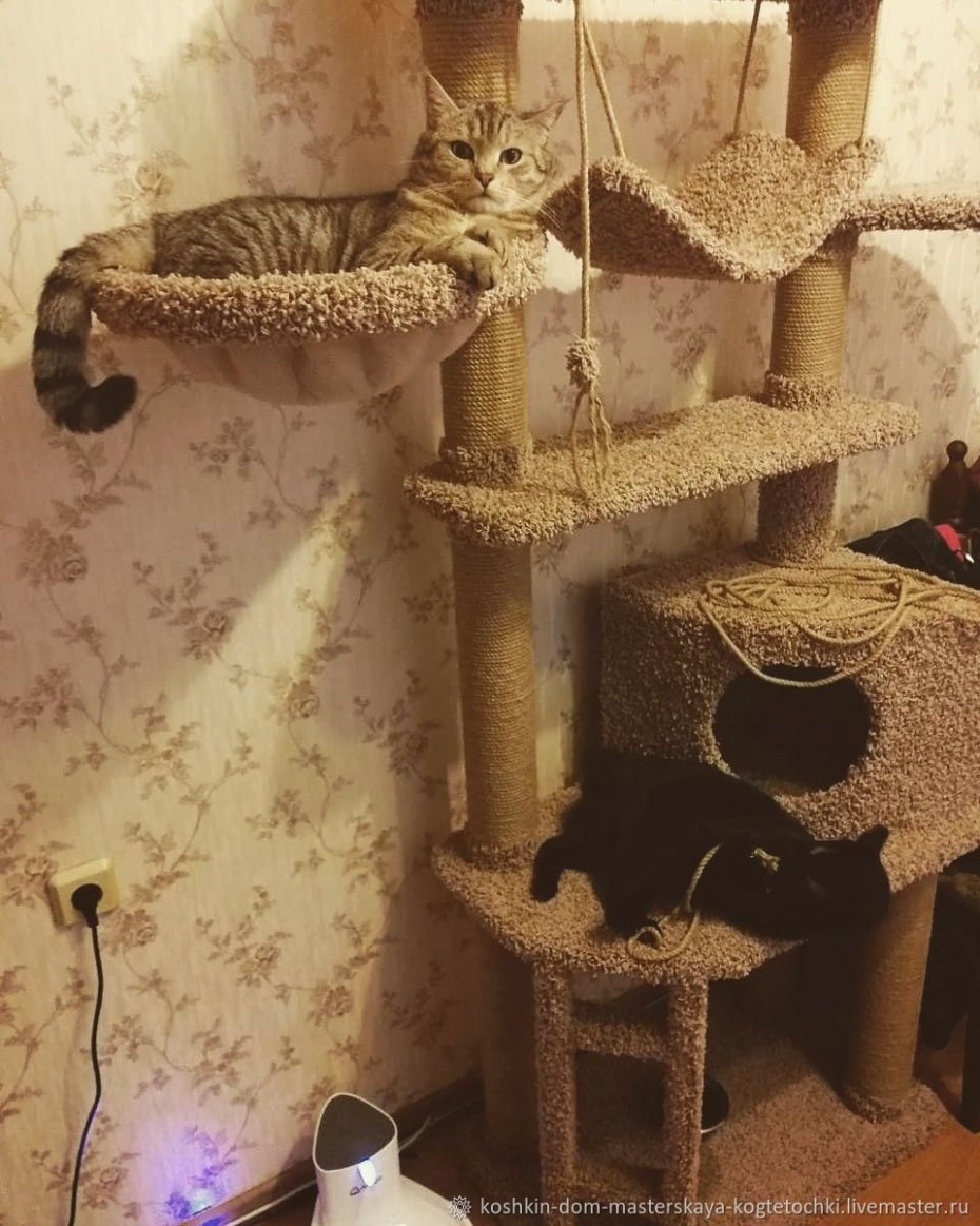 Кошкин дом фото
