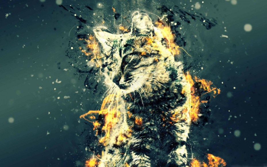 Кот абстракция