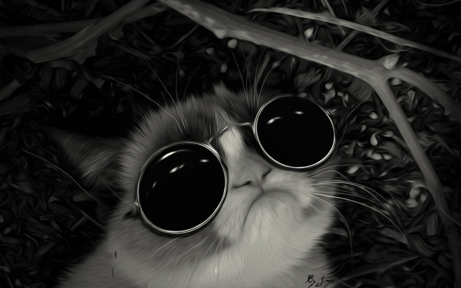 Кот в чёрных очках
