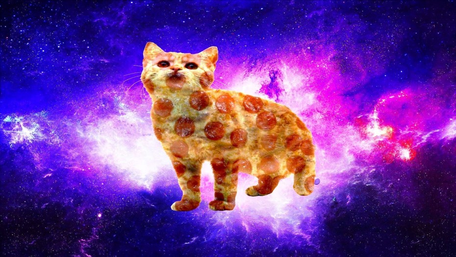 Кот в космосе
