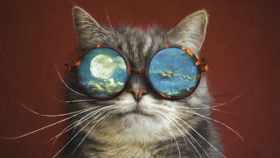 Коты в очках