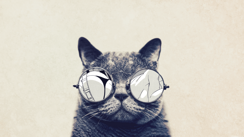 Кот в очках