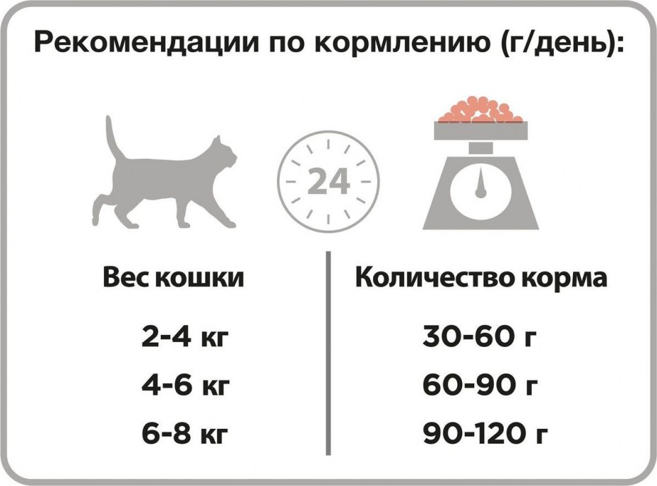 График кормления кота сухим кормом