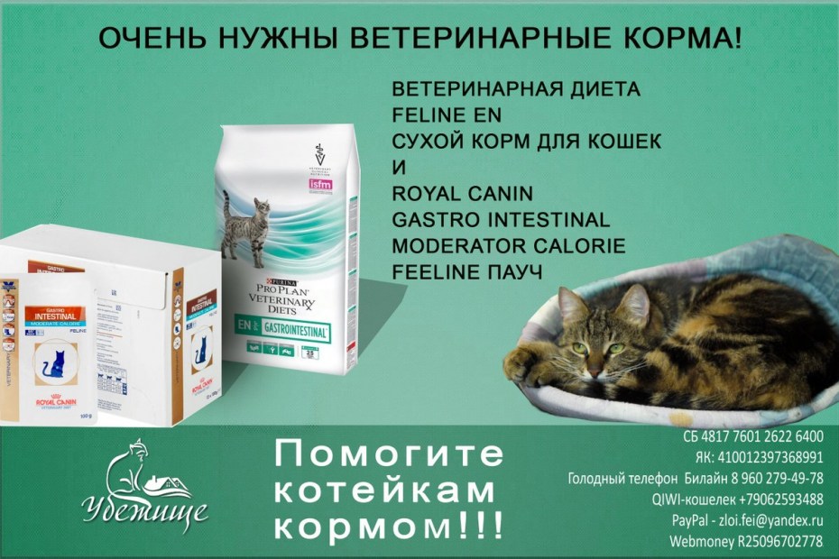 Вет диета для кошек