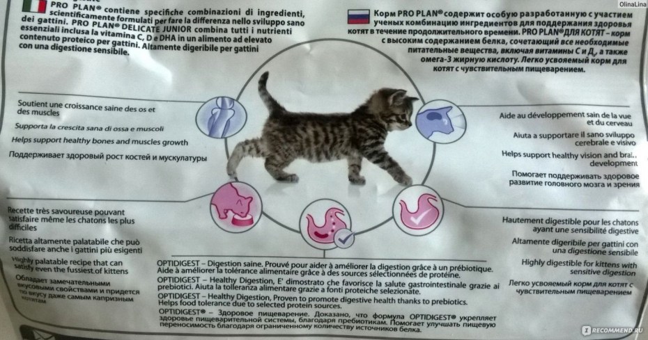 Purina Pro Plan для котят норма кормления
