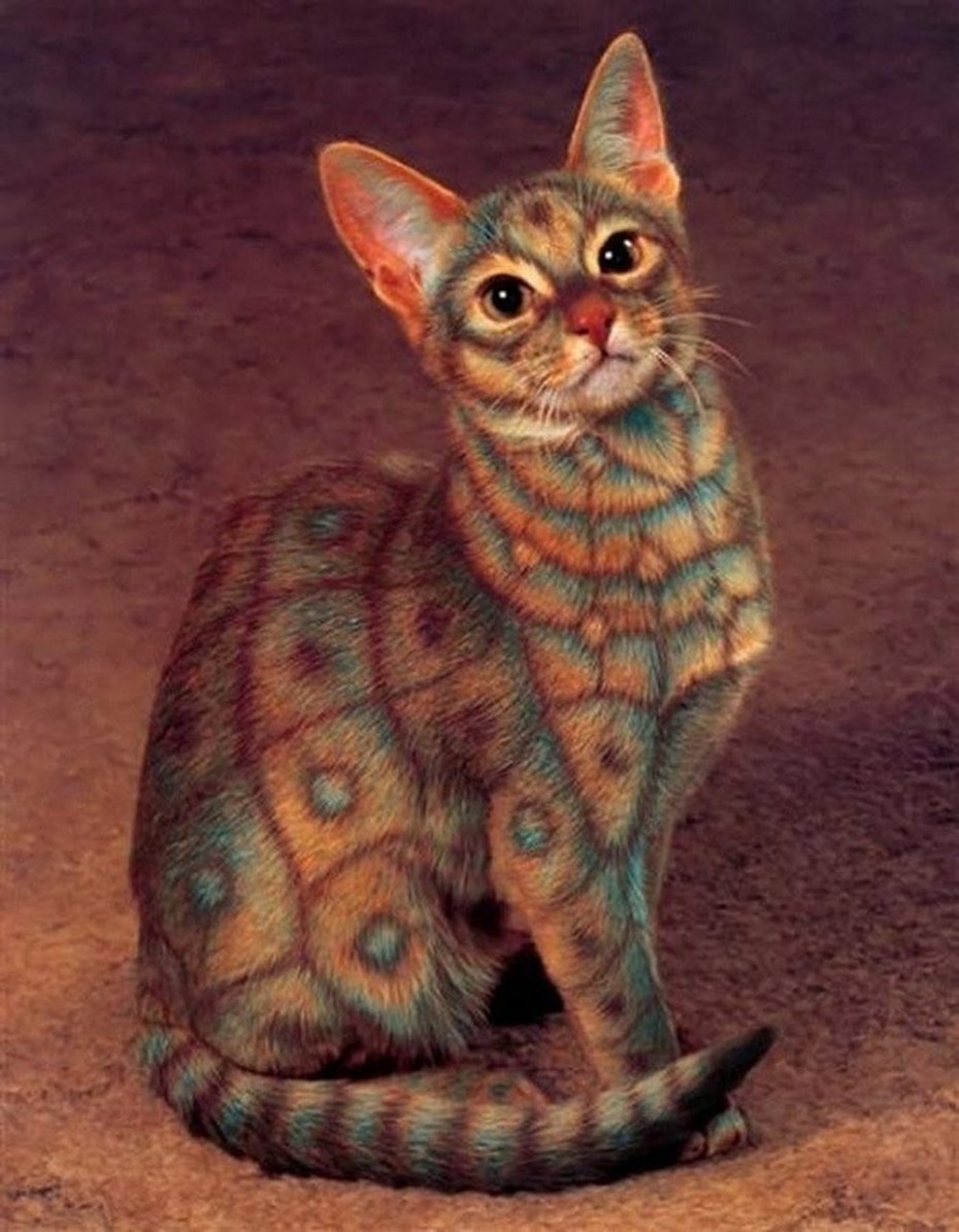 Необычные окраски кошек