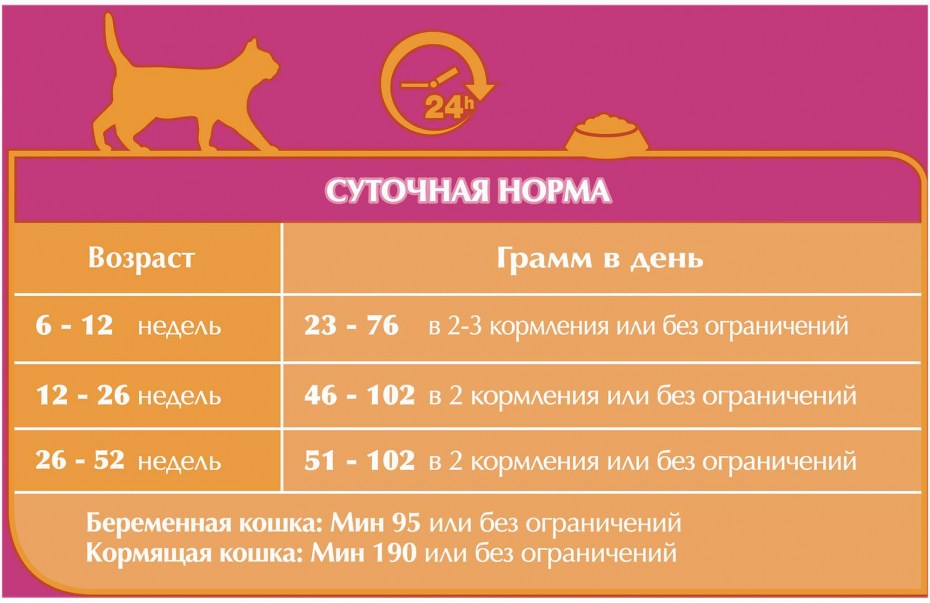 Норма корма для кошки