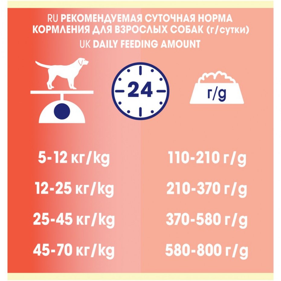 Норма сухого корма для собак