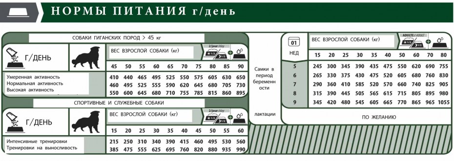 Нормы кормления щенков крупных пород сухим кормом