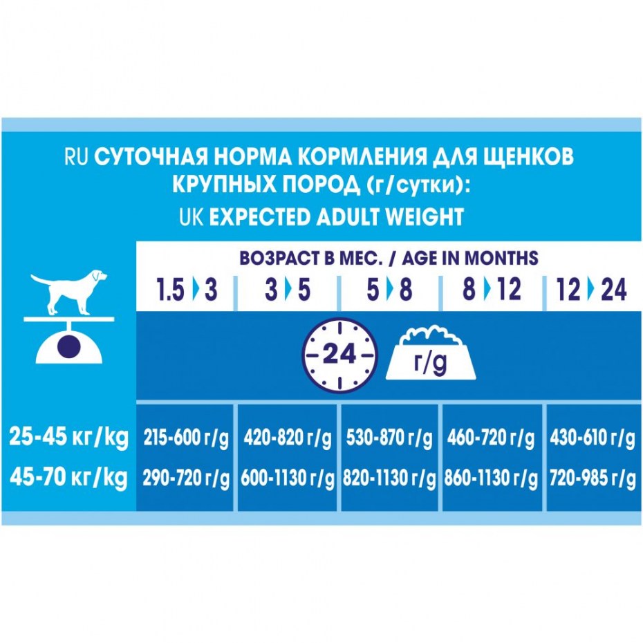 Суточная норма кормления щенка