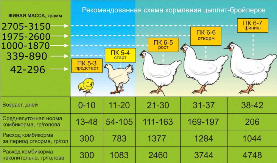 Таблица корма для бройлеров Кобб 500