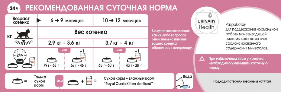 Норма кормления котят 8 месяцев