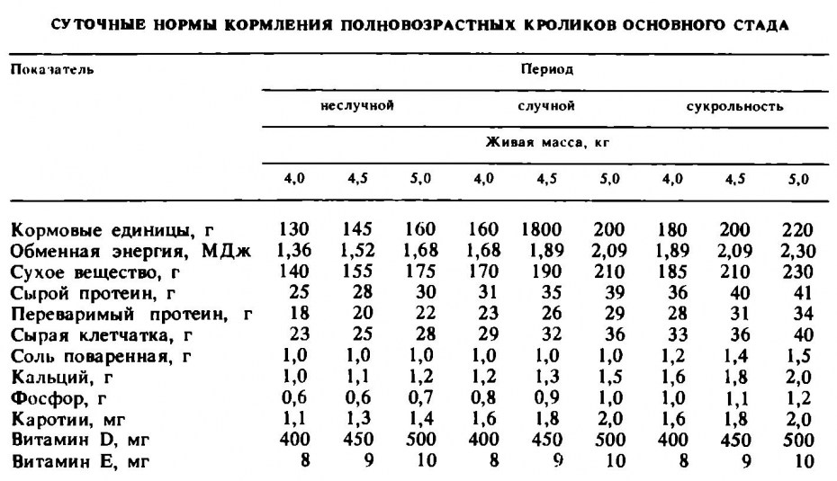 Норма кормов для кроликов