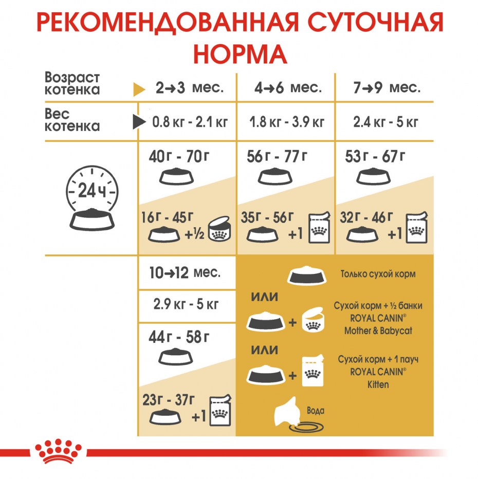 Суточная норма для котят
