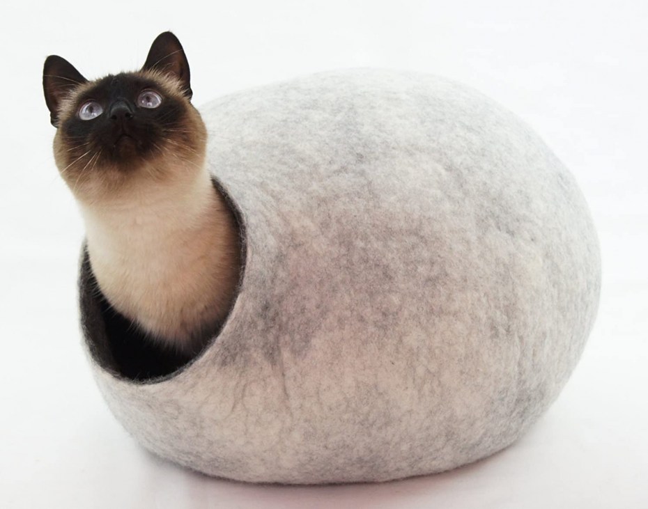 Свалявшаяся шерсть у кошки