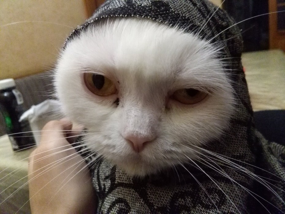 Юлиус адам