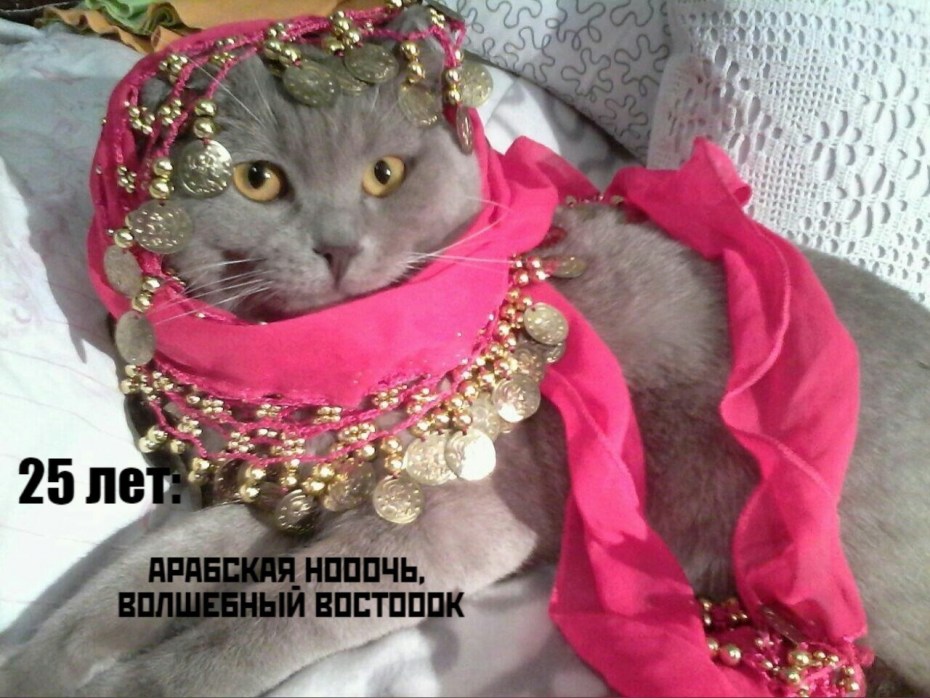 Кот в тюбетейке татарской