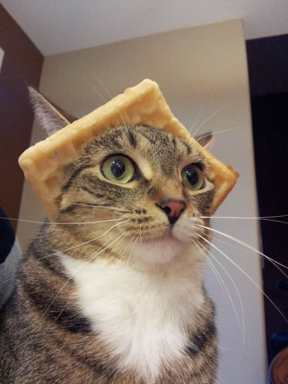 Кок Мем