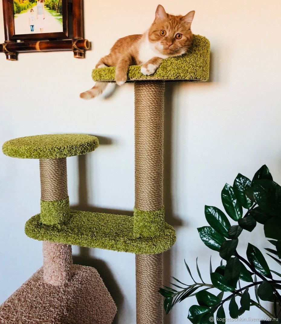 Игровой комплекс ct18 для кошек, 450*365*1070мм