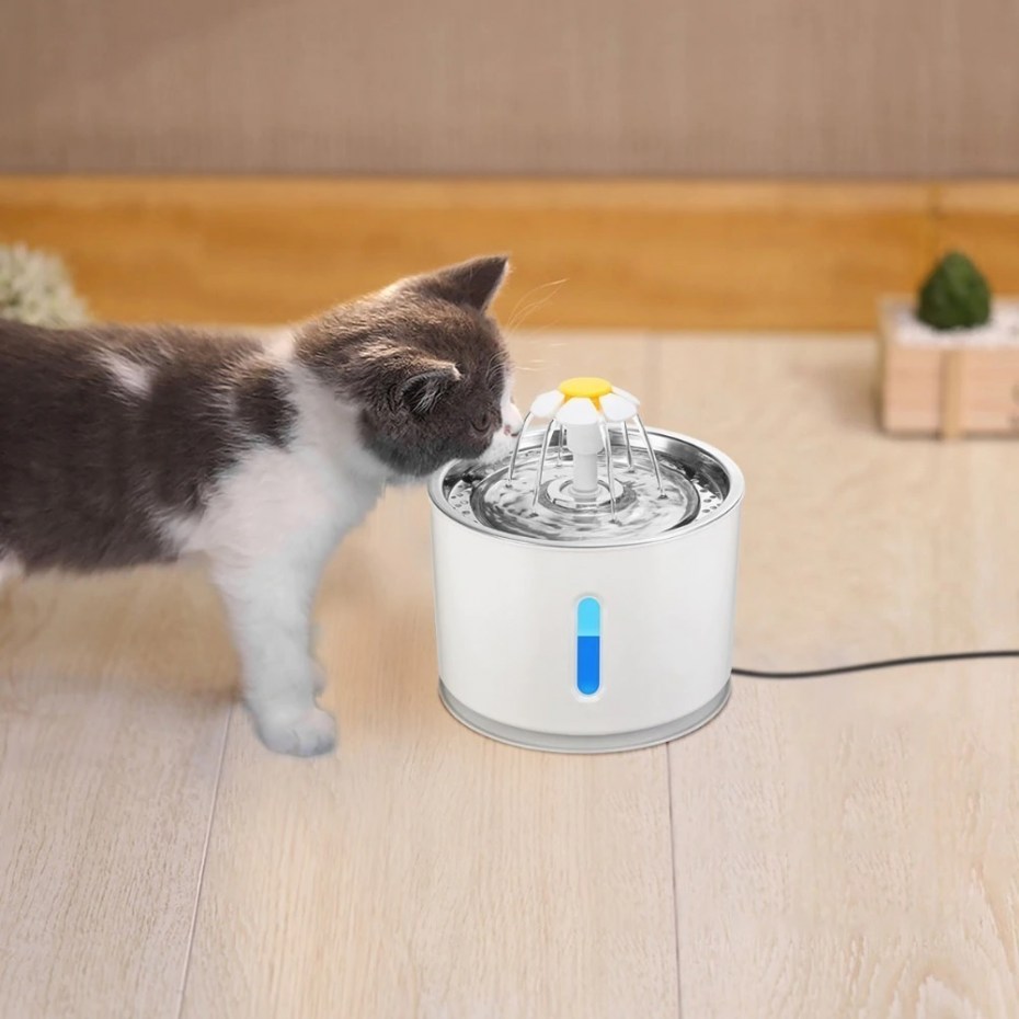 Кошка в воде