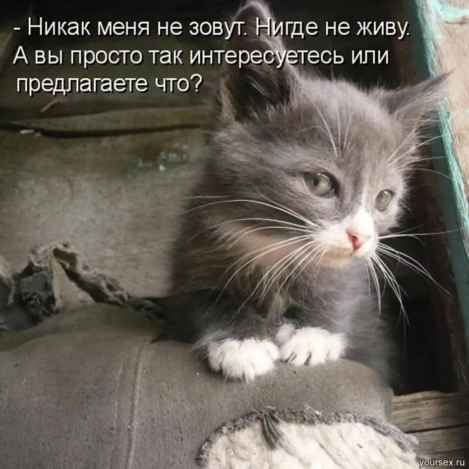 А вы точно не БЛОХАСТЫЙ