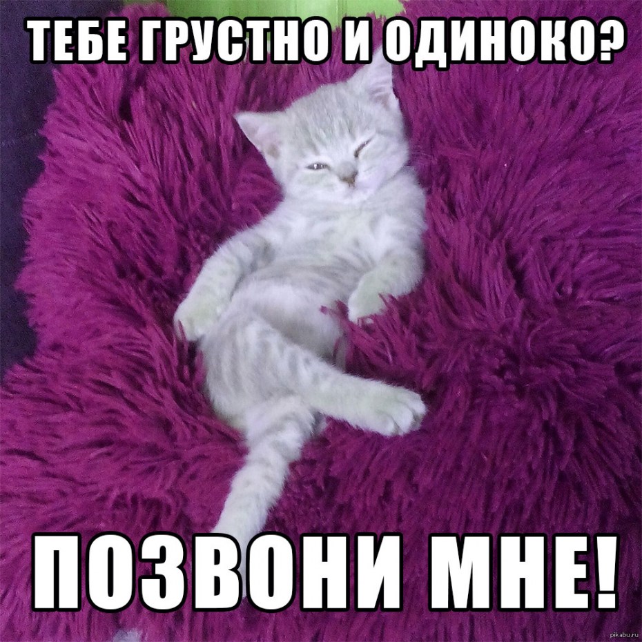Мне скучно котик
