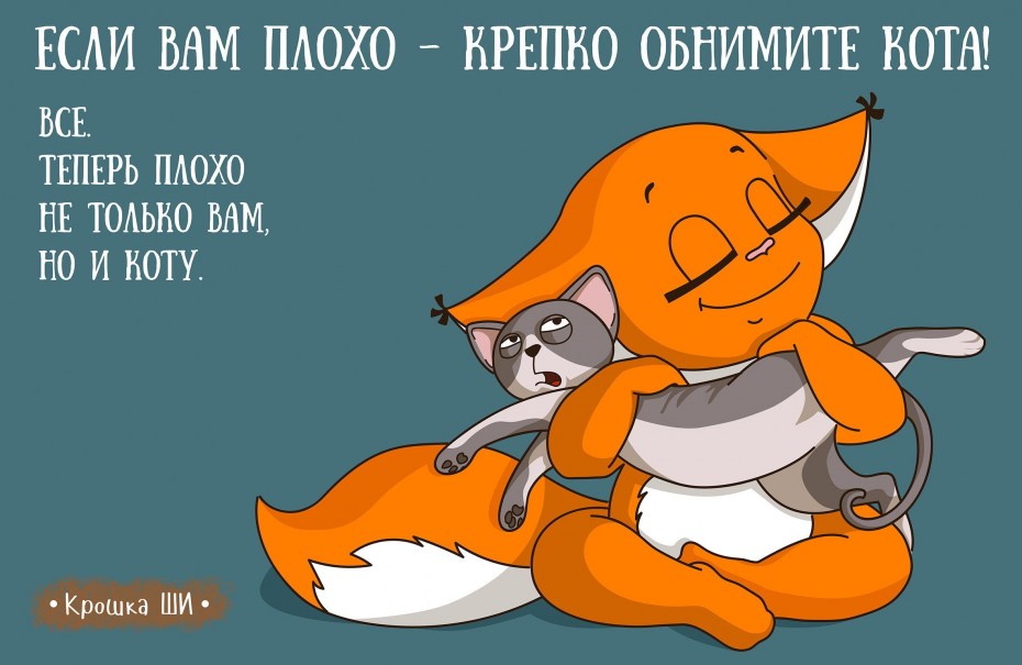 Крошка ши и кот